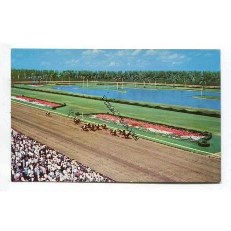 A thrilling race at Hialeah race Course Hialeah Florida vintage A thrilling race at Hialeah race Course Hialeah Florida vintage