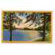 Scene in Weequahic Park Newark New Jersey