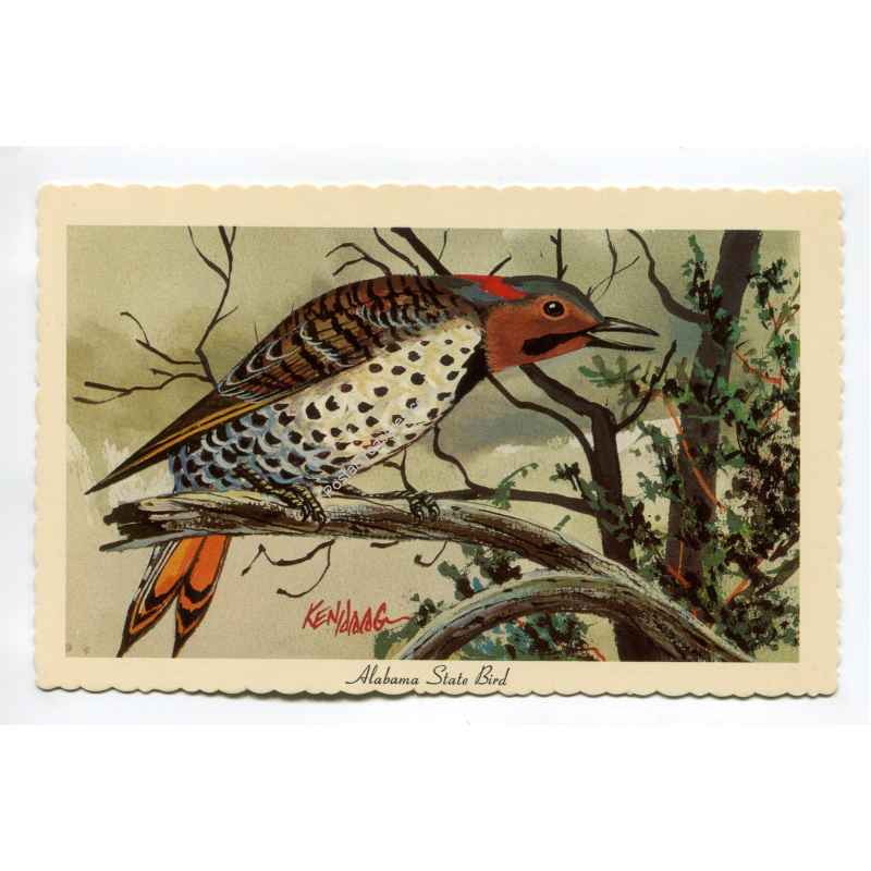 Yellowhammer Alabama State Bird postcard