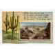 Arizona antique and vintage postcards