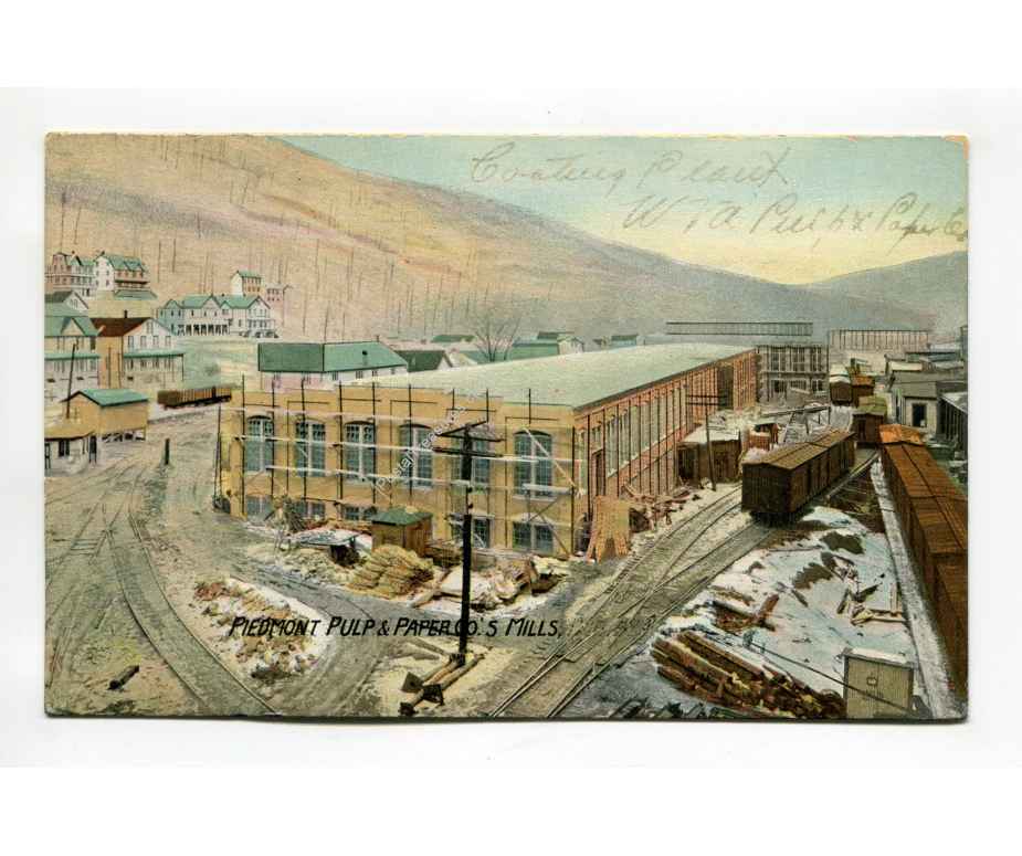 american pulp and paper company