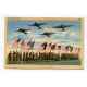 Presenting Colors - soldiers holding flags and planes in skyline