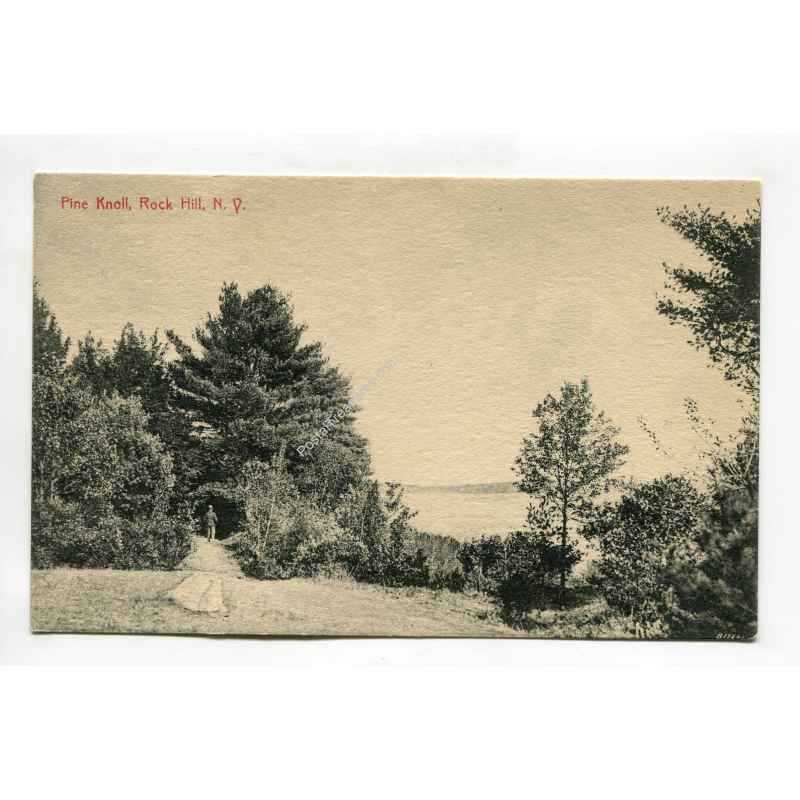 Pine Knoll Rock Hill New York vintage postcard