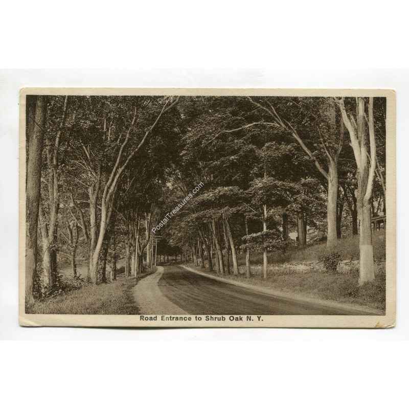 Road Entrance to Shrub Oak New York vintage postcard