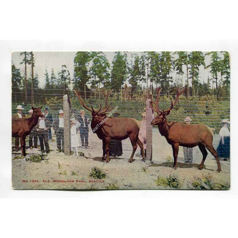 Elk Woodland Park Seattle vintage postcard
