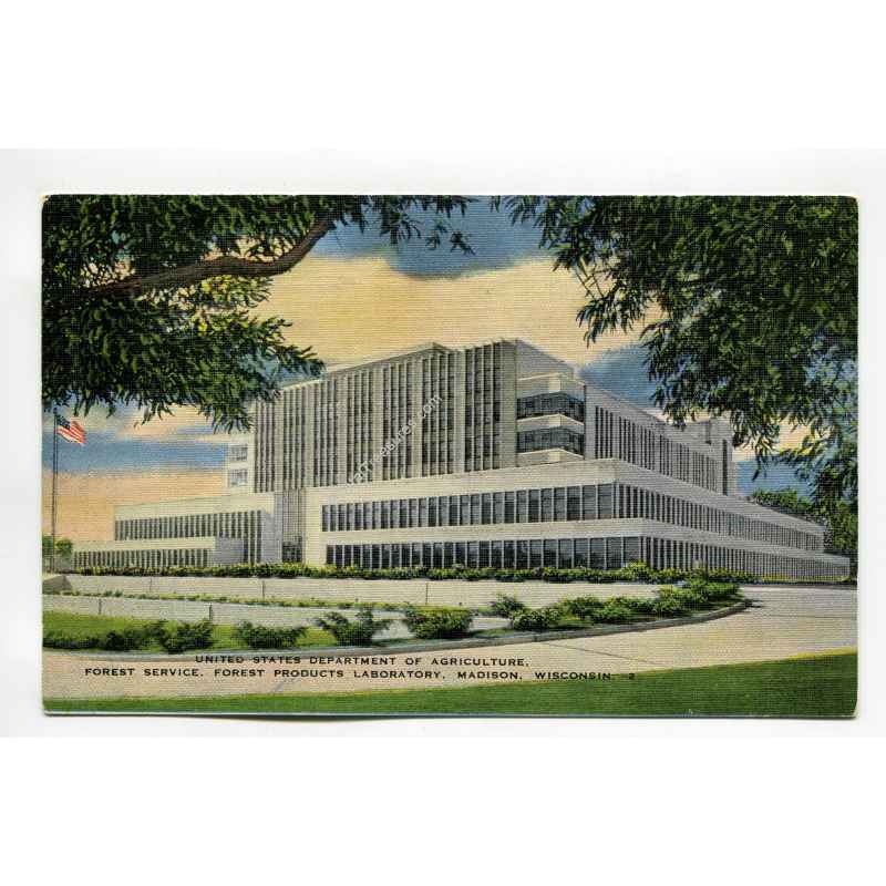 United States Department of Agriculture Forest Service Forest