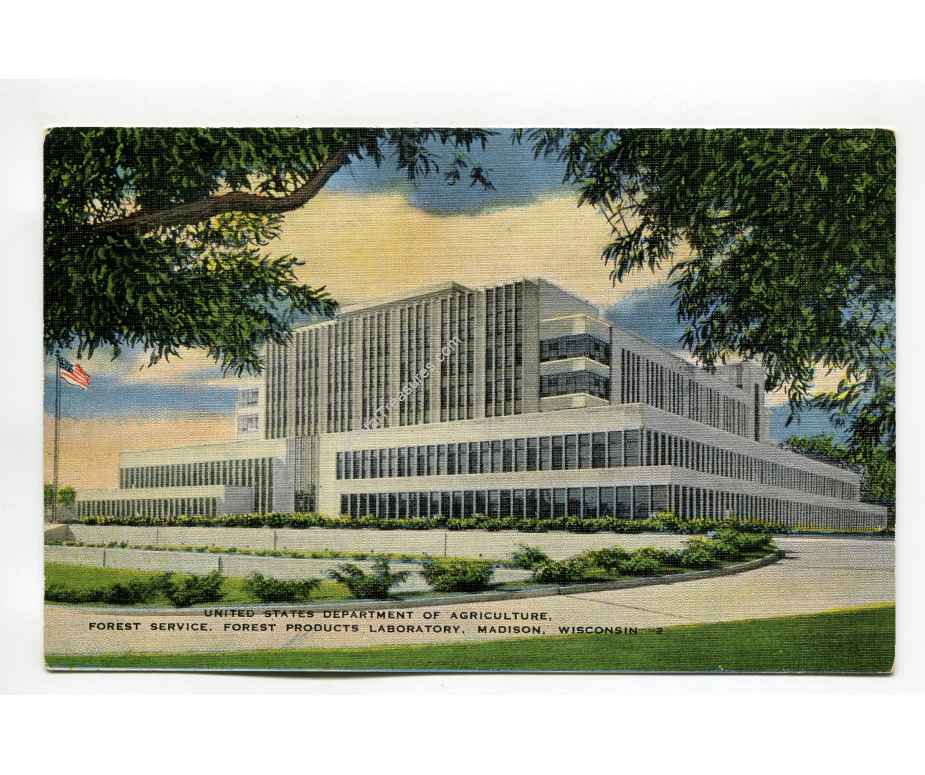 United States Department of Agriculture Forest Service ...